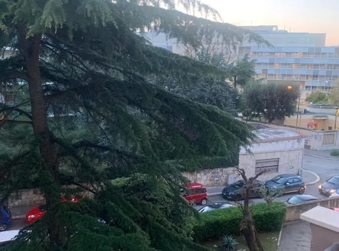 דירה Residenza Giovanni Paolo Secondo- Casa Sull'albero *